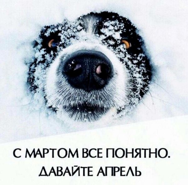 Зима пришла
