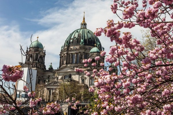 Дрезден весной