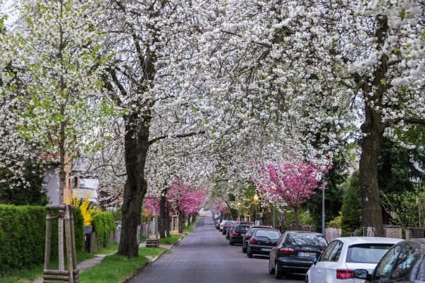 Германия Берлин Весна