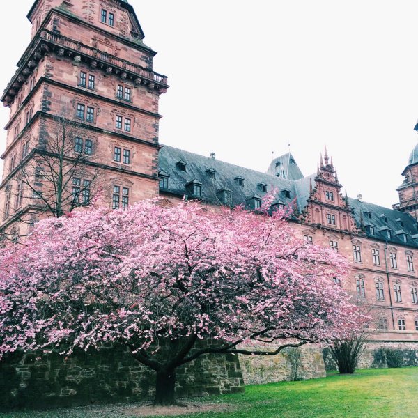 Весна в Берлине фото