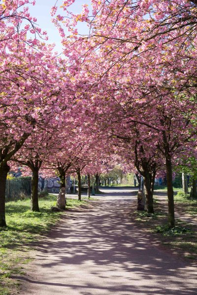 Весна в Берлине