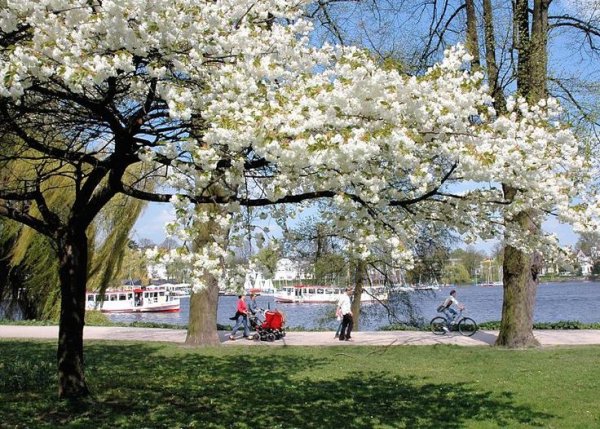 Весна Эстетика Германия