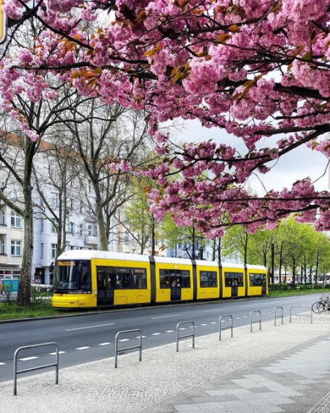 Солнечный день весной