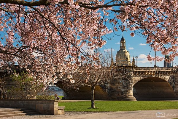 Дрезден весной