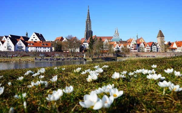 Весна в Дрездене