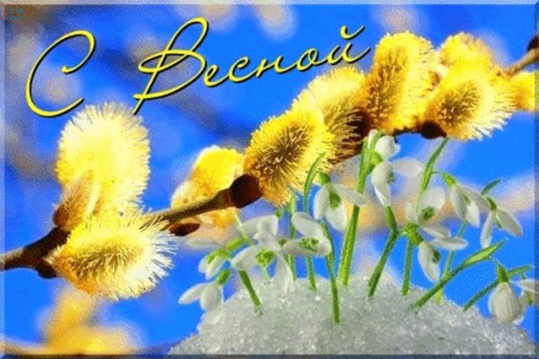 Поздравление с первым днем весны