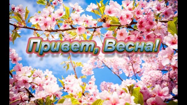 Привет, Весна!