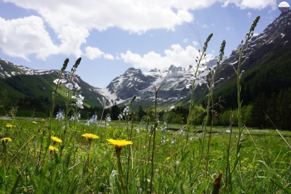 Горы Архыз Весна