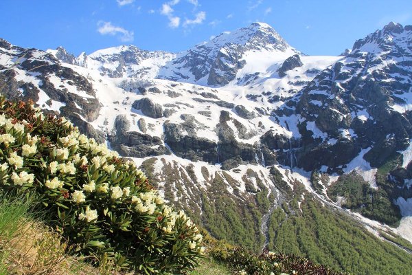 Софийские водопады Архыз рододендрон