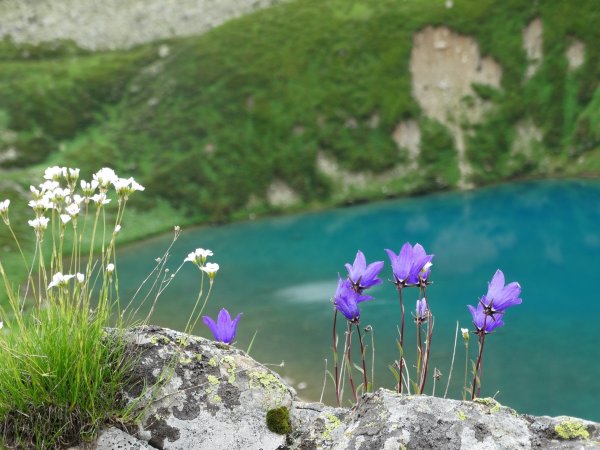 Архыз Весна