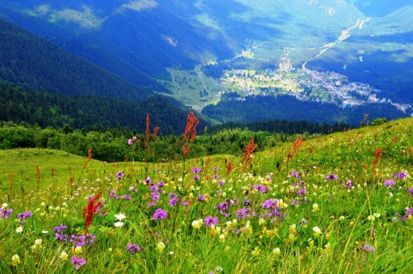 Альпийские Луга Архыза