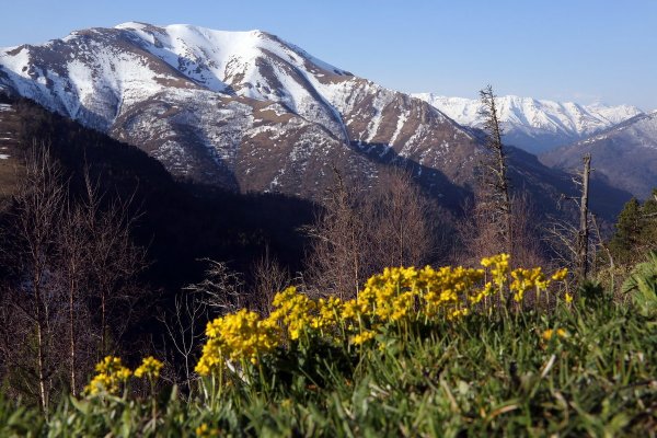 Кавказ Теберда Домбай Весна