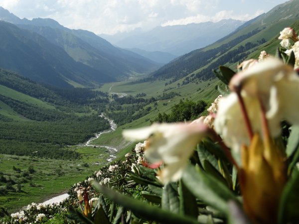 Лето в Архызе