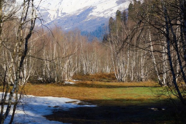 Ранняя Весна на Кавказе
