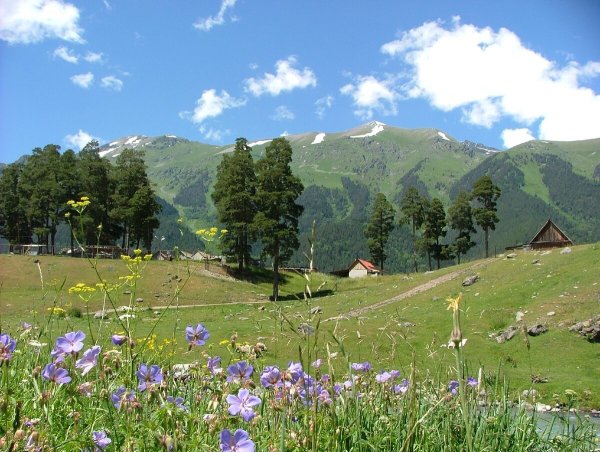 Поселок Архыз Карачаево Черкесия