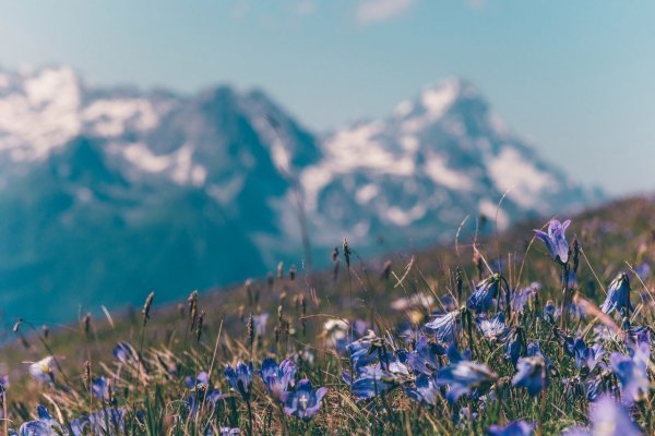 Архыз весной