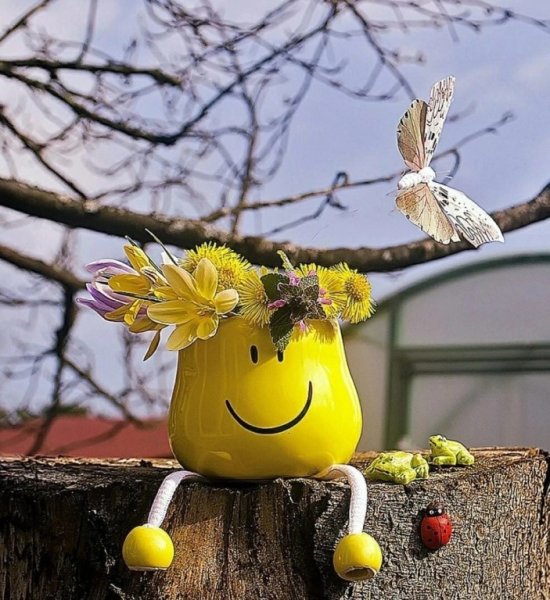 Коты Ирины Зенюк лето