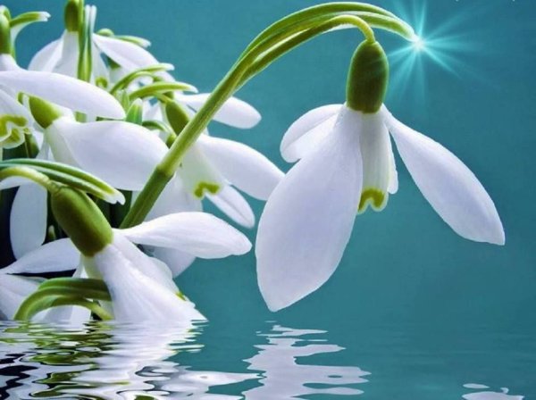 С первым днем весны