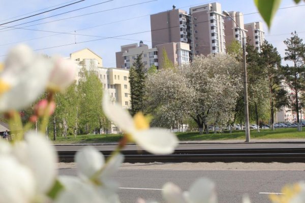 Барнаул в мае