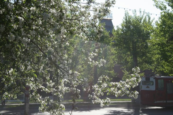 Весна в Барнауле