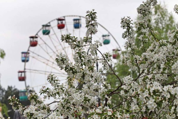 Барнаул весной