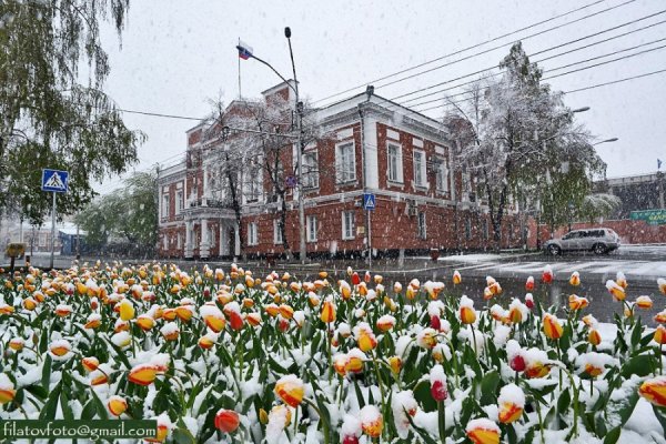 Весна в Барнауле