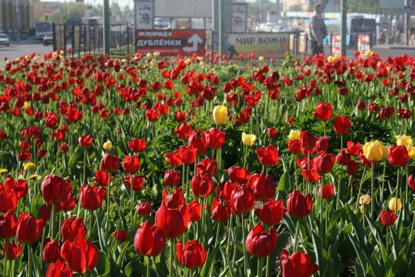 Барнаул праздник достопримечательности Нагорный