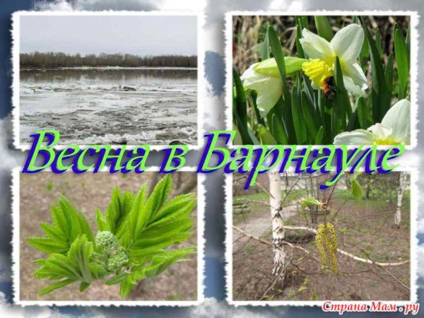 Часовое цветение цветов