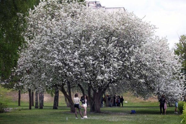 ТЦ весенний Барнаул