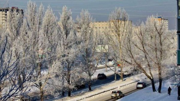 Весенний Барнаул цветы