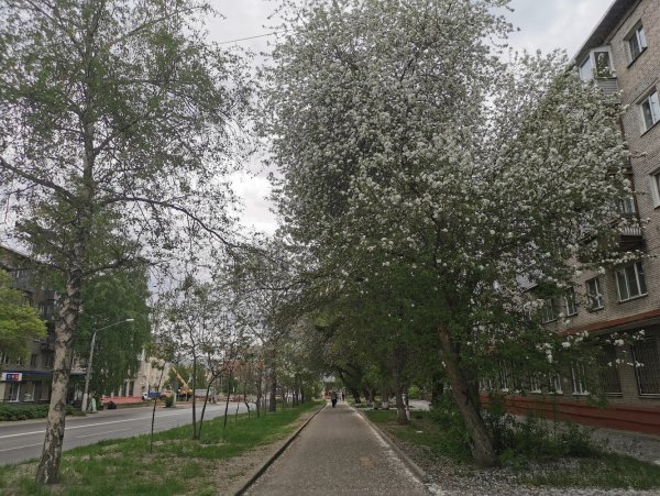 Цветы Барнаул Ленина