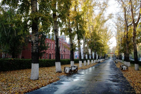 Осенний Барнаул