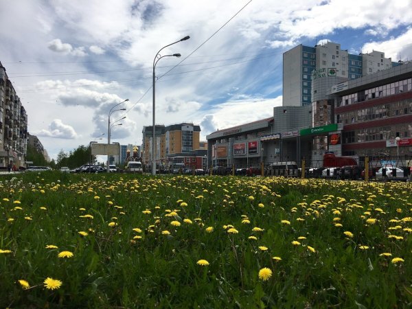 Весна в Монреале