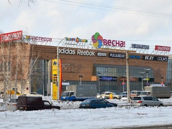 Цветение яблони