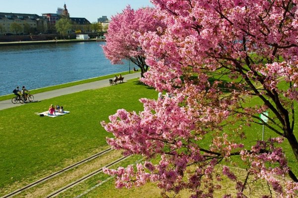 Зимний Барнаул