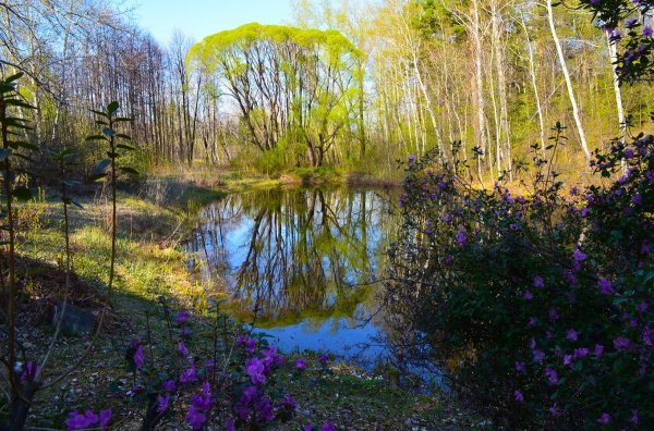 В Барнауле сжигать чучелу