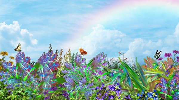 Летняя природа