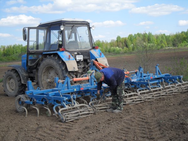 Посевная страда