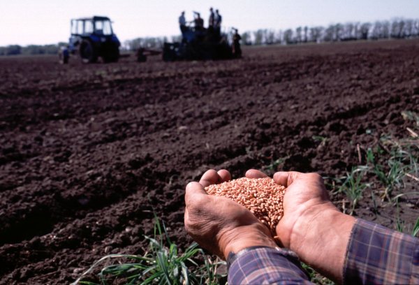 Посевная в Омской области в 2021