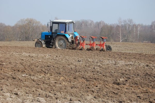 Сельское хозяйство посев