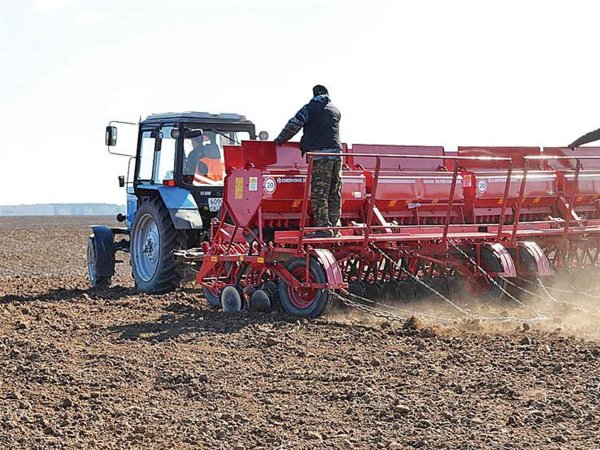 Весенний посев