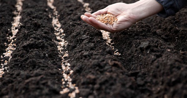 Посевная в Калужской области