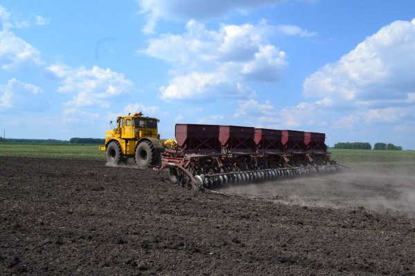 Посев озимых культур