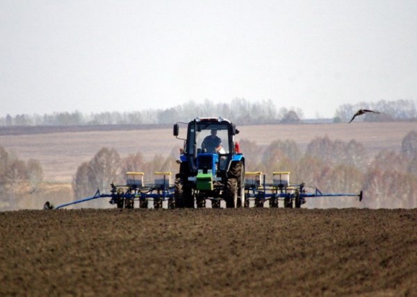 Посевная в колхозе