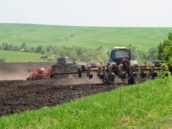 Весенние полевые работы