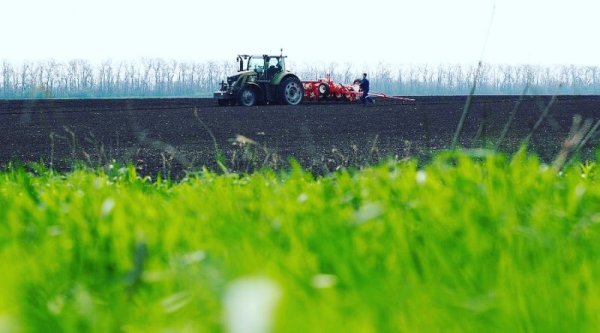 Разбор цвели яблони и цветы пахли мёдом
