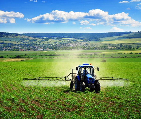 Посевная Черепаново