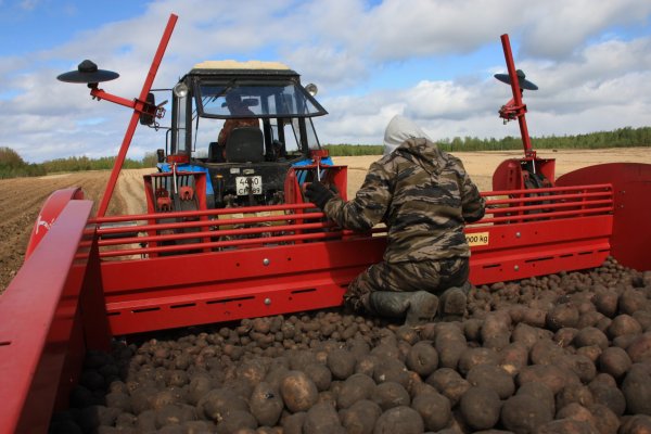 Посевная в разгаре