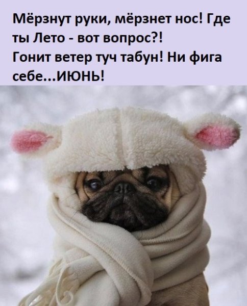 Думали Весна херушки