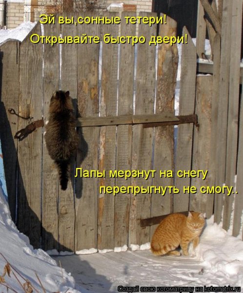 И снова снег